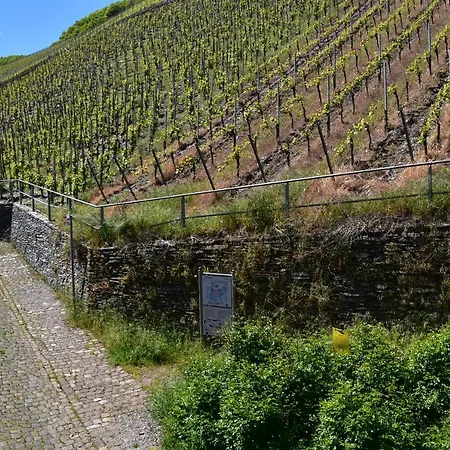 Weinberg * Uerzig